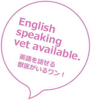 English speaking vet available(英語を話せる獣医がいるワン!)
