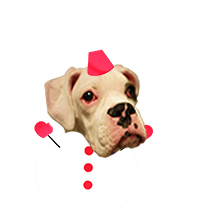 じゅじゅちゃん