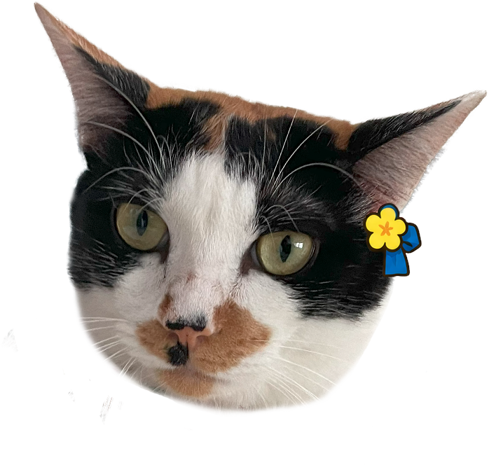 えびちゃん
