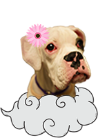 じゅじゅちゃん