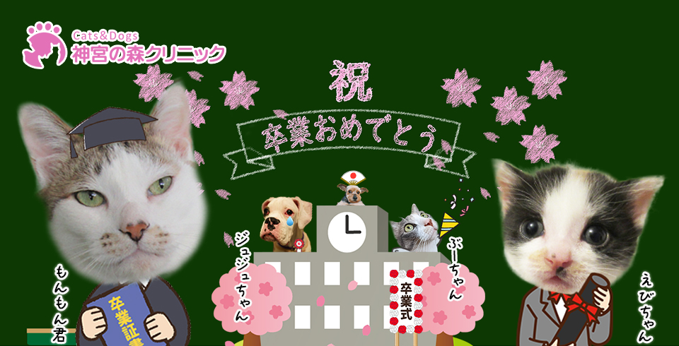 Cats&Dogs神宮の森クリニック