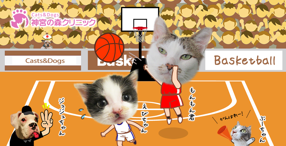 Cats&Dogs神宮の森クリニック