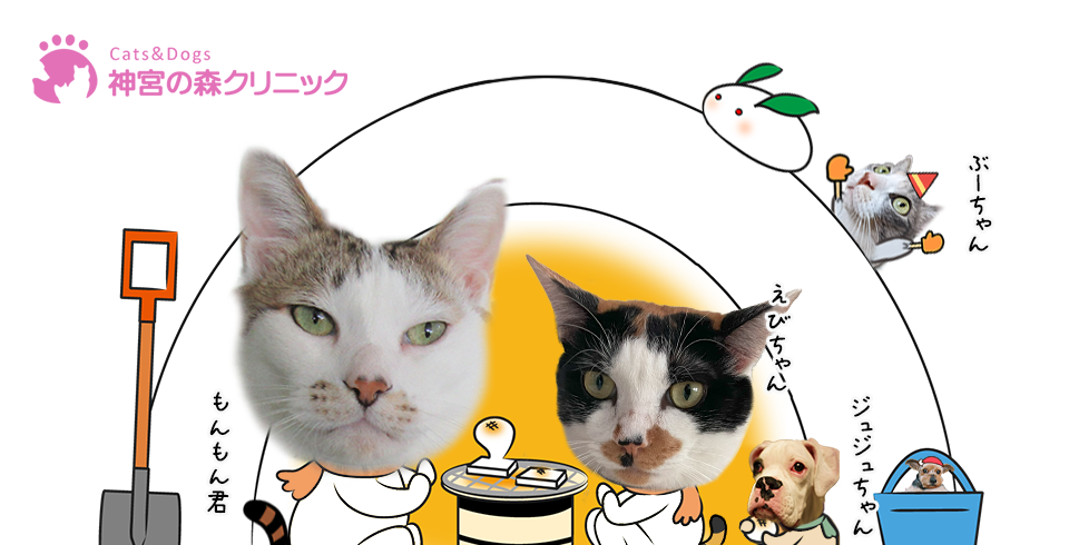 Cats&Dogs神宮の森クリニック