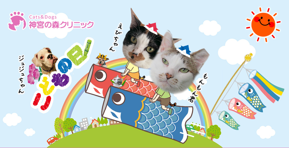 Cats&Dogs神宮の森クリニック